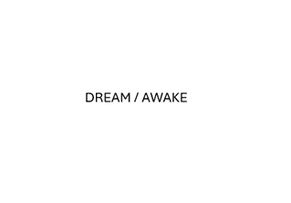 Dream Awake logo