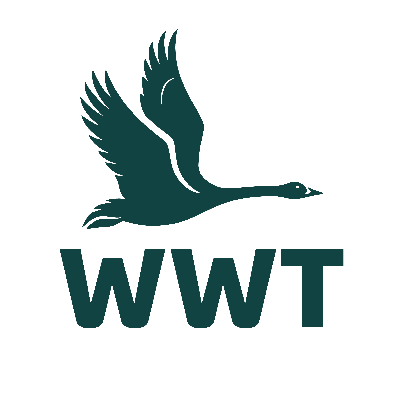 Wildfowl and Wetlands Trust logo